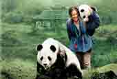 China - The Panda Adventure 