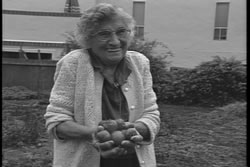 Rina Pacini: The Garlic Granny